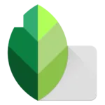 Snapseed MOD APK v2.21.0.566275366 (Premium Unlocked)